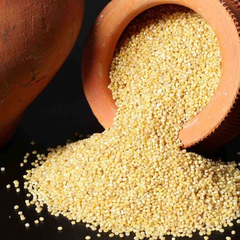 foxtail_millet_rice